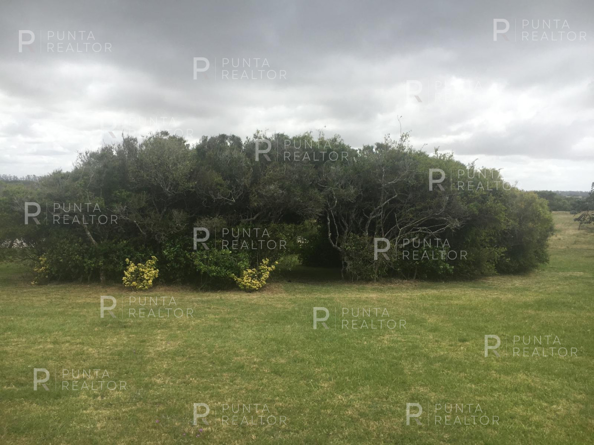 Chacra ID.256 - Excelente chacra en venta con laguna propia en José Ignacio
