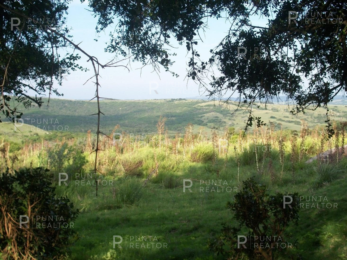 Chacra ID.159 - Chacra en Garzon imperdible, 10 hectáreas, con arroyo, monte.