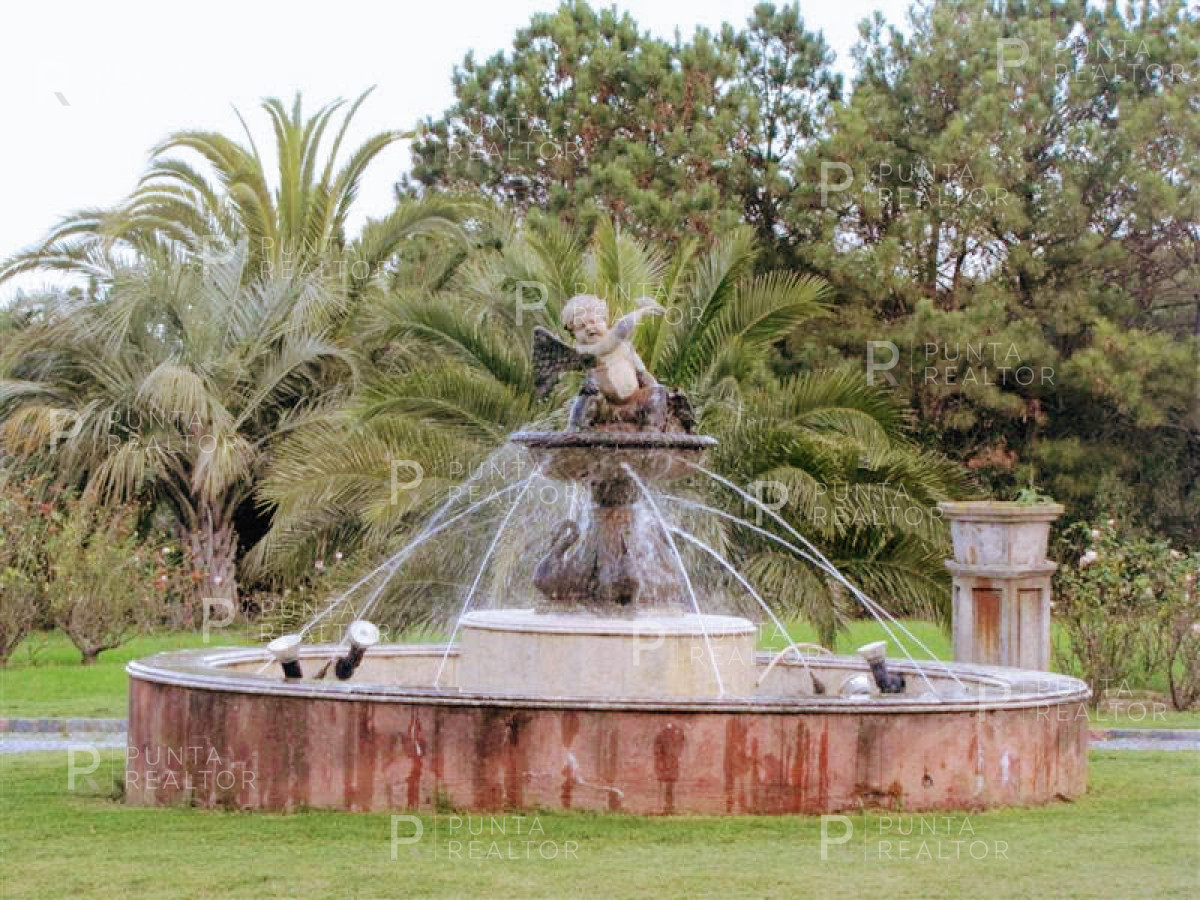Chacra ID.349 - Chacra en venta en Mangrullos de Punta Pierdras