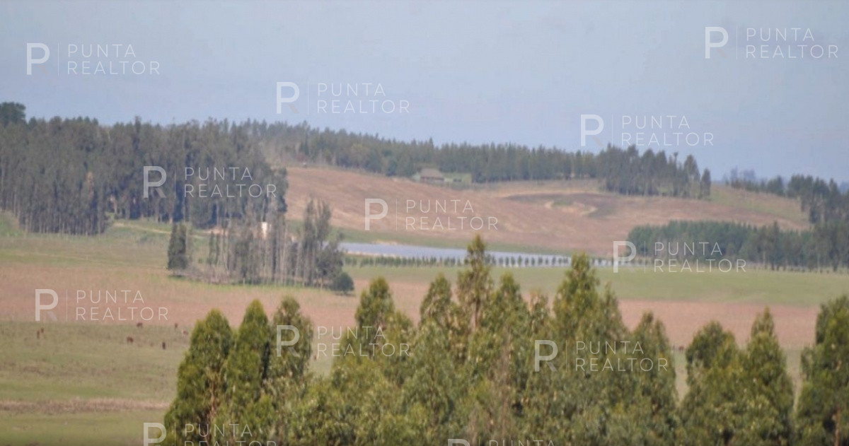 Chacra ID.1400 - Hermosa chacra en venta