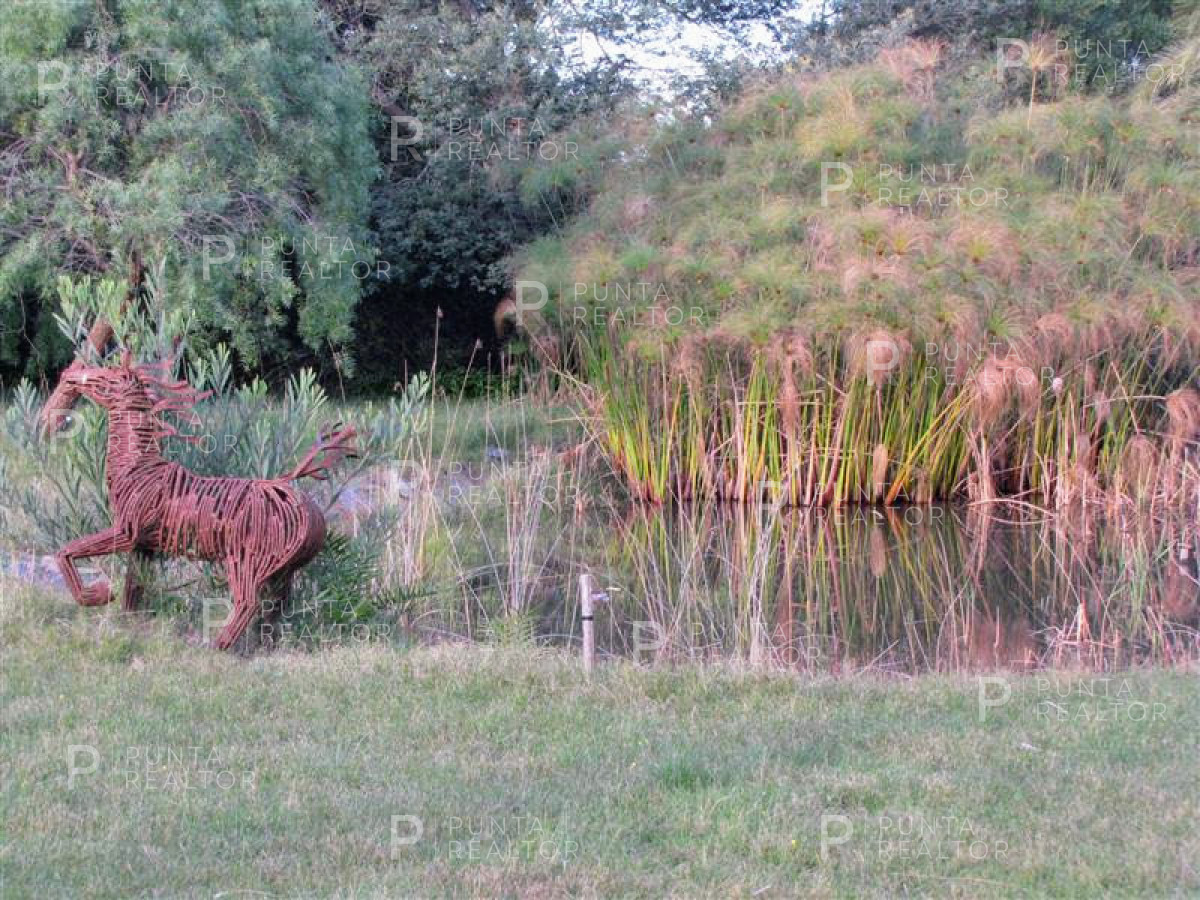 Chacra ID.349 - Chacra en venta en Mangrullos de Punta Pierdras