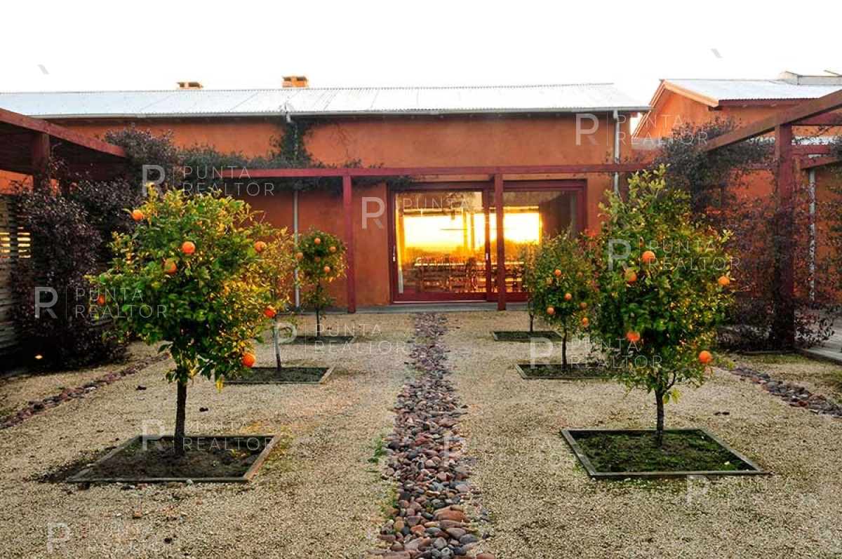 Chacra ID.257 - Chacra en venta en Miramar Acres, La Barra