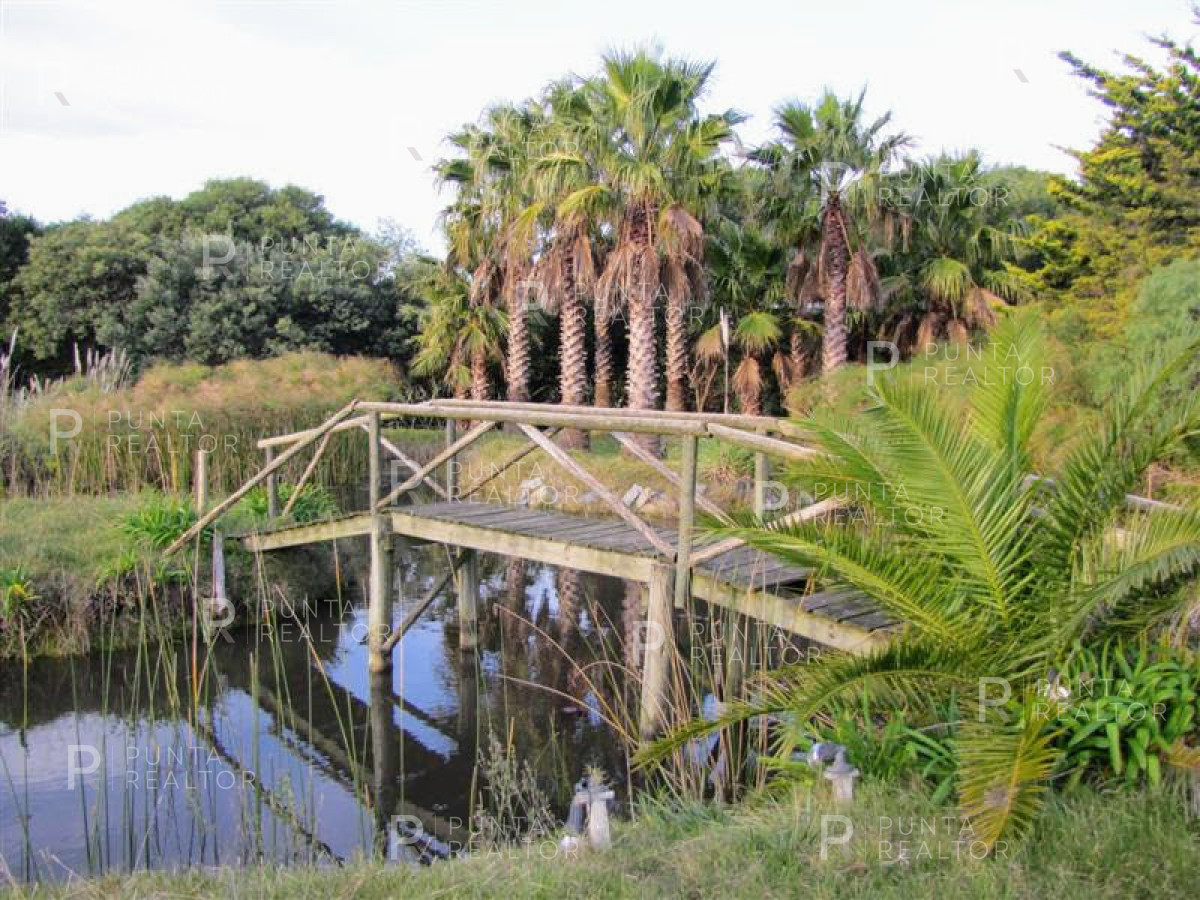 Chacra ID.349 - Chacra en venta en Mangrullos de Punta Pierdras