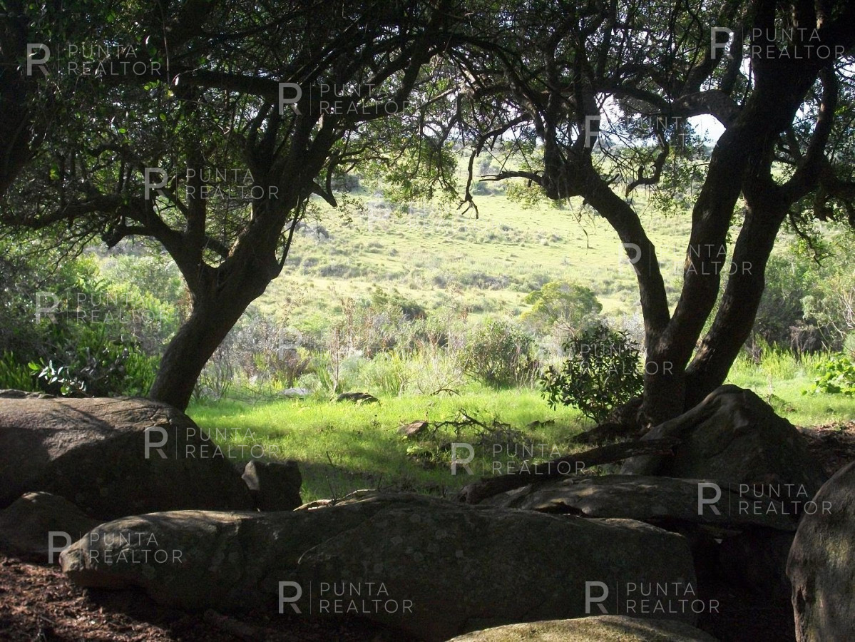 Chacra ID.159 - Chacra en Garzon imperdible, 10 hectáreas, con arroyo, monte.