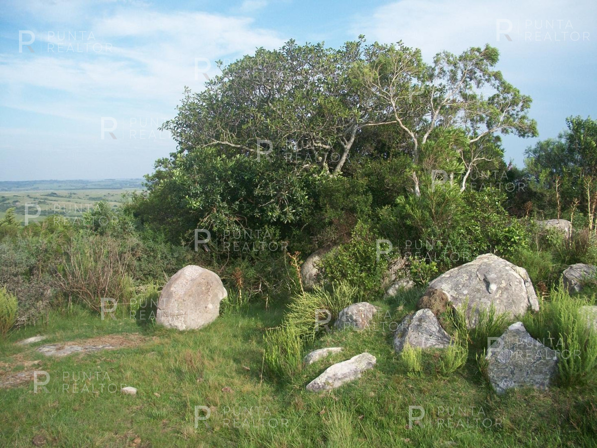 Chacra ID.159 - Chacra en Garzon imperdible, 10 hectáreas, con arroyo, monte.