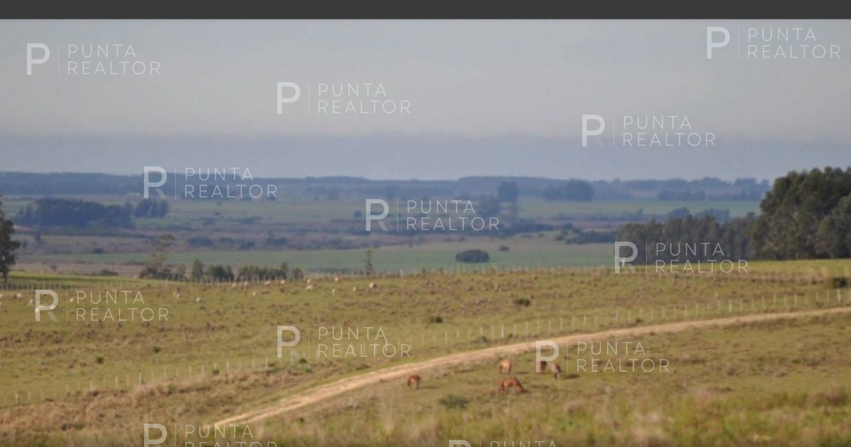 Chacra ID.1400 - Hermosa chacra en venta
