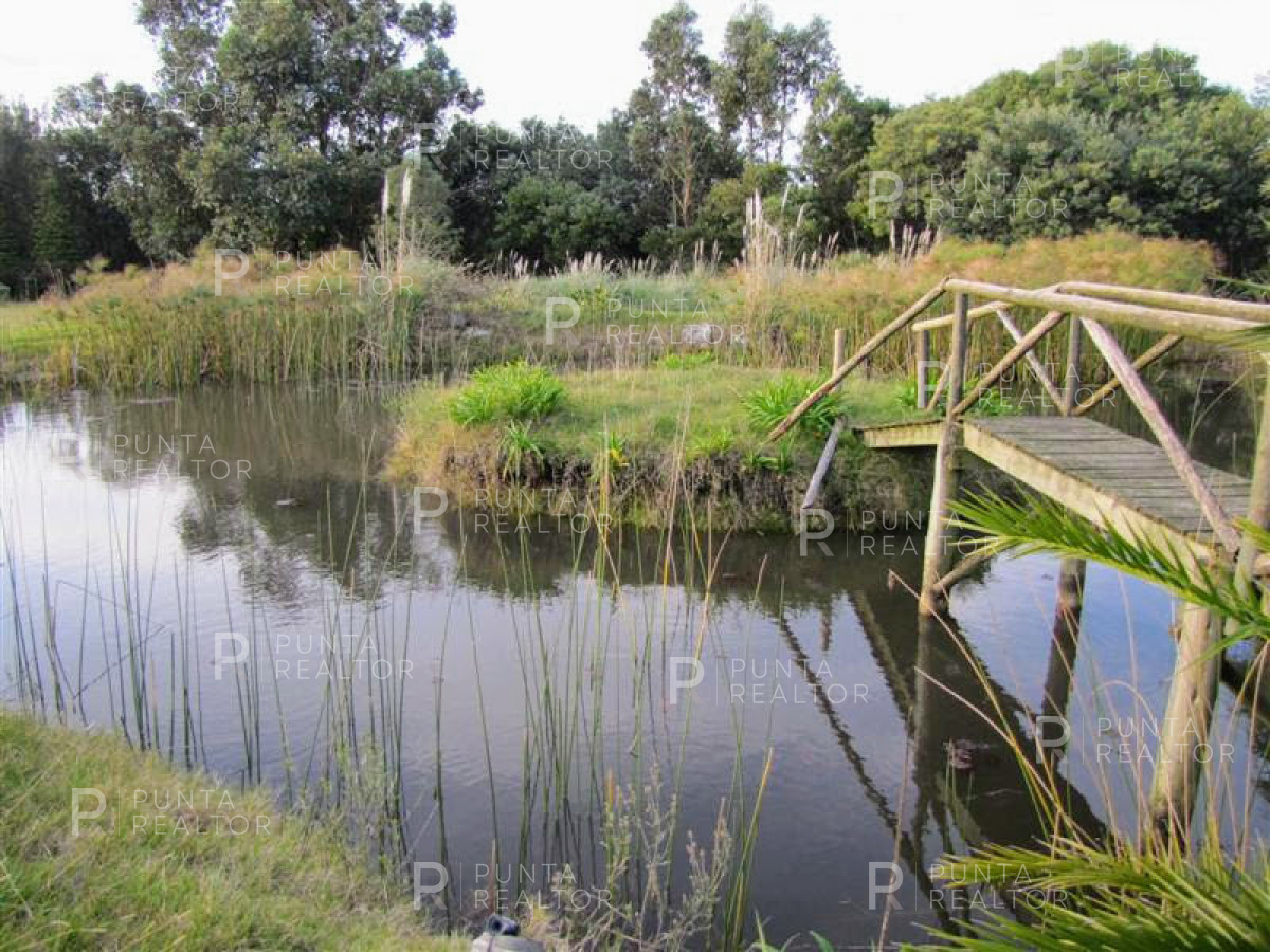 Chacra ID.349 - Chacra en venta en Mangrullos de Punta Pierdras