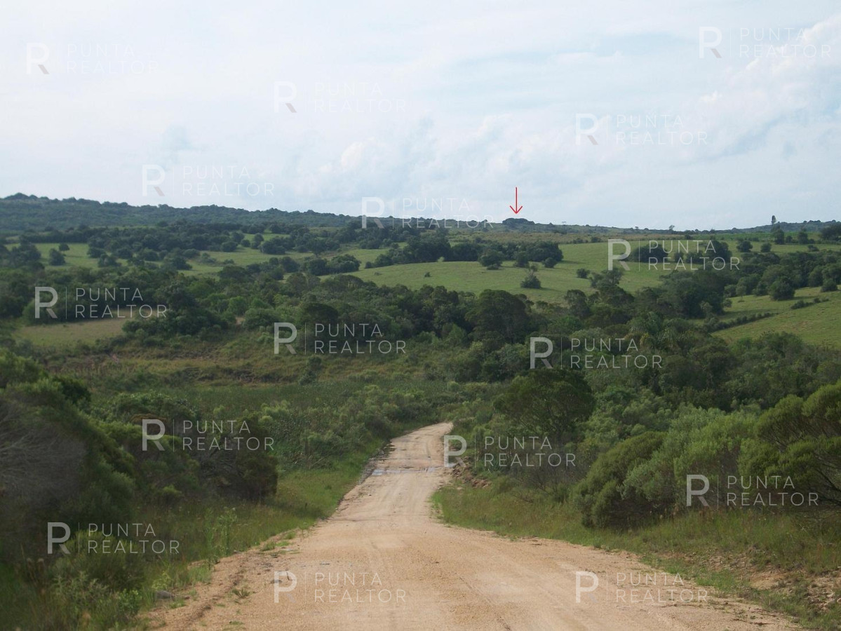 Chacra ID.159 - Chacra en Garzon imperdible, 10 hectáreas, con arroyo, monte.