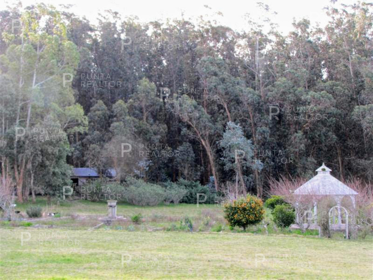 Chacra ID.349 - Chacra en venta en Mangrullos de Punta Pierdras