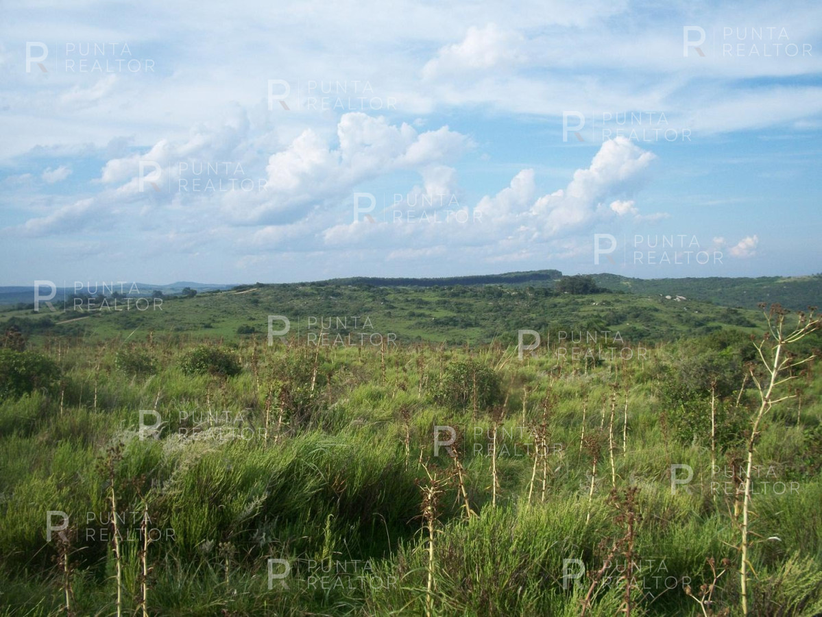 Chacra ID.159 - Chacra en Garzon imperdible, 10 hectáreas, con arroyo, monte.