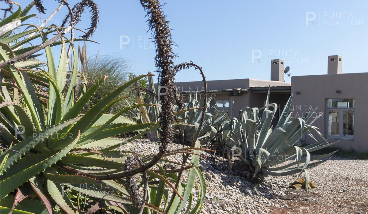 Chacra ID.354 - Chacra en venta en José Ignacio, Uruguay