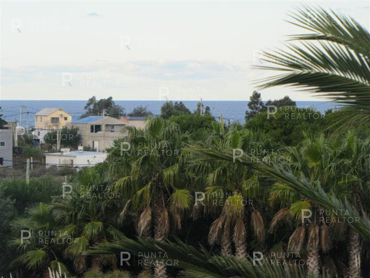 Chacra ID.349 - Chacra en venta en Mangrullos de Punta Pierdras