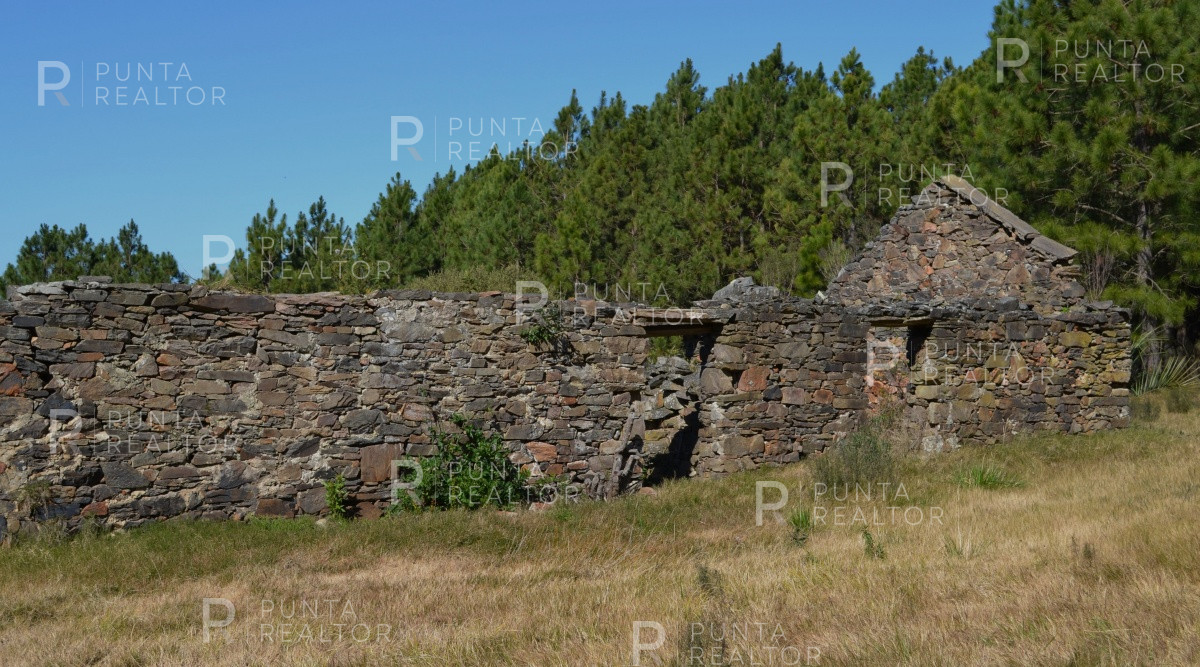 Chacra ID.827 - Espectacular chacra en Sierra de la Ballena en venta y alquiler