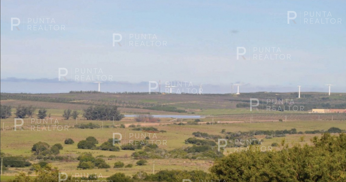 Chacra ID.1400 - Hermosa chacra en venta