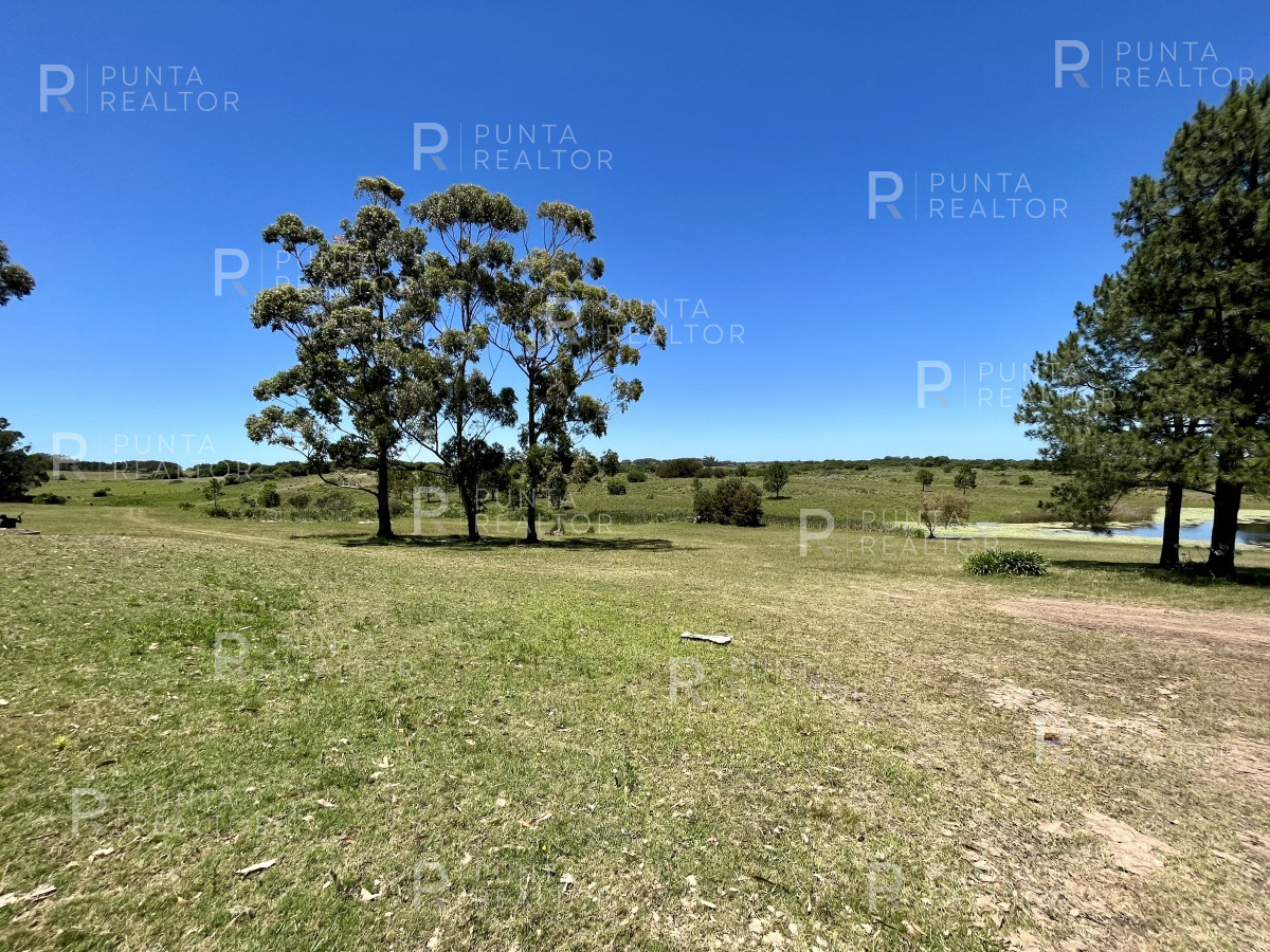 Chacra ID.1386 - Chacra  Casa alquiler, 12 dormitorios, cancha de Tenis, José Ignacio, Alquiler