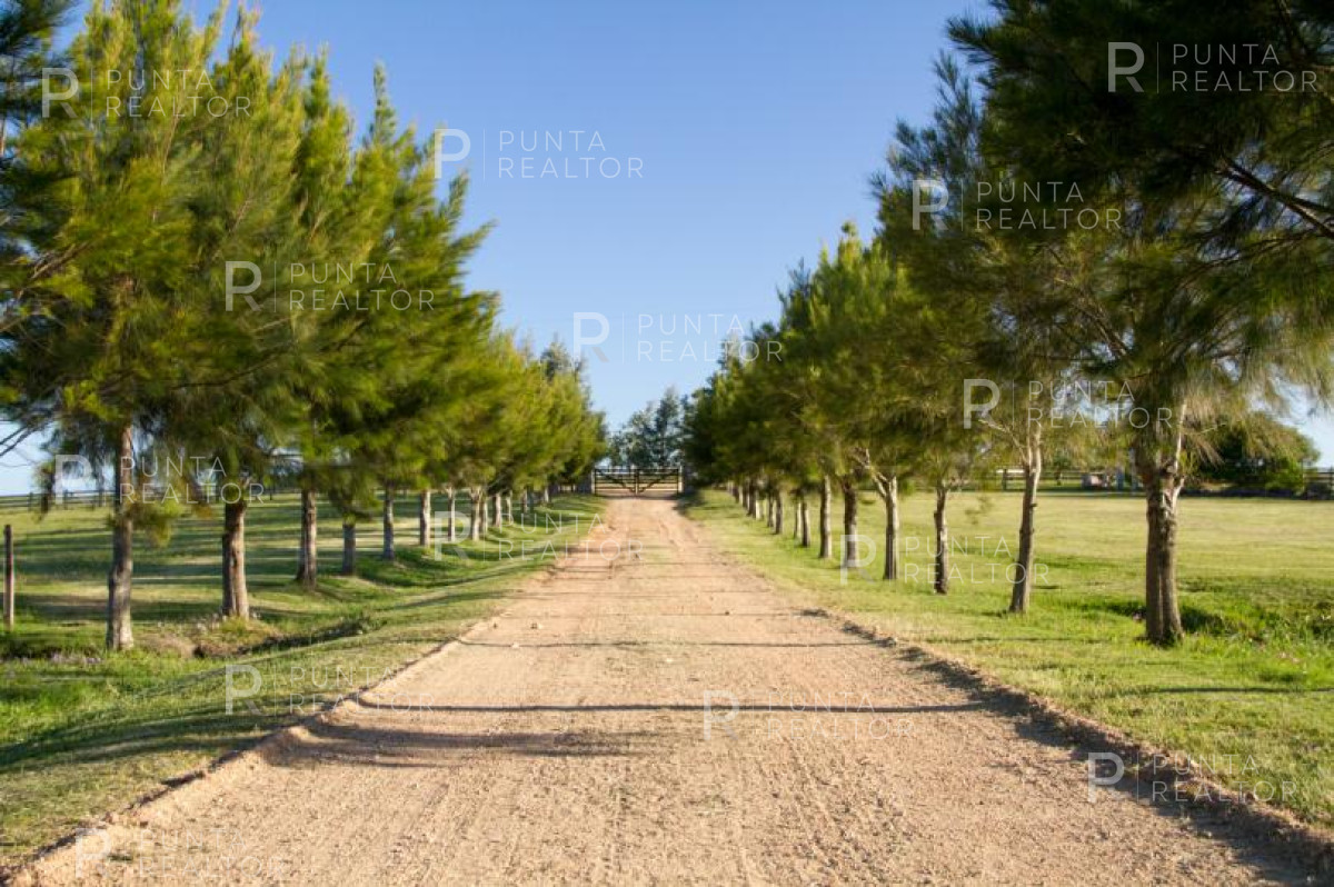 Chacra ID.358 - Excepcional chacra, Laguna Garzon. 11 hectáreas, 4 suites, 2 con cama king, 6 singles, dependencia, pileta, galeria con parrillero y living, vistas!