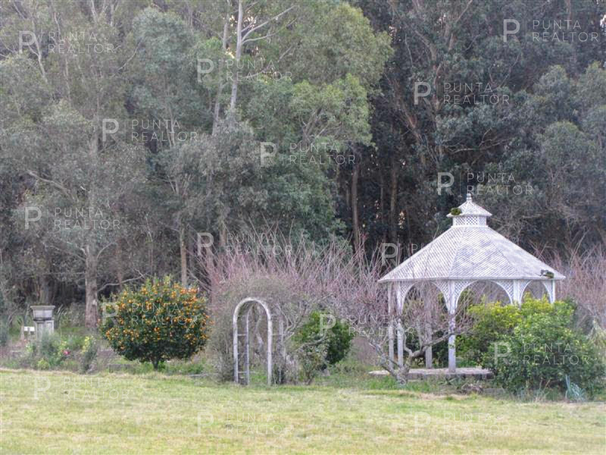 Chacra ID.349 - Chacra en venta en Mangrullos de Punta Pierdras