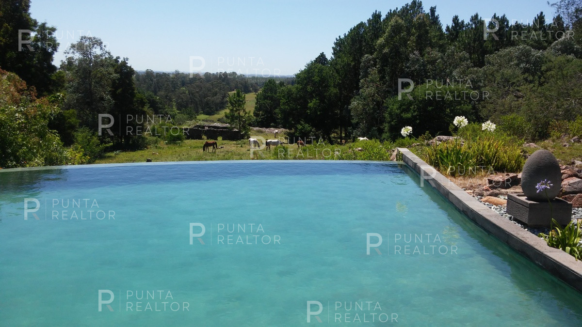 Chacra ID.827 - Espectacular chacra en Sierra de la Ballena en venta y alquiler