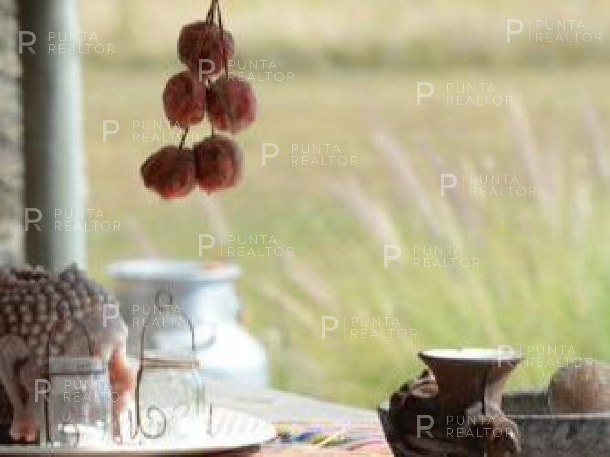 Chacra ID.363 - Chacra casa alquiler,  4 dormitorios, pileta, José Ignacio, Uruguay