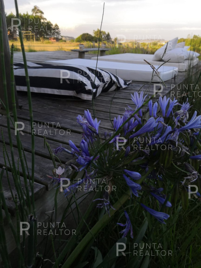 Chacra ID.363 - Chacra casa alquiler,  4 dormitorios, pileta, José Ignacio, Uruguay