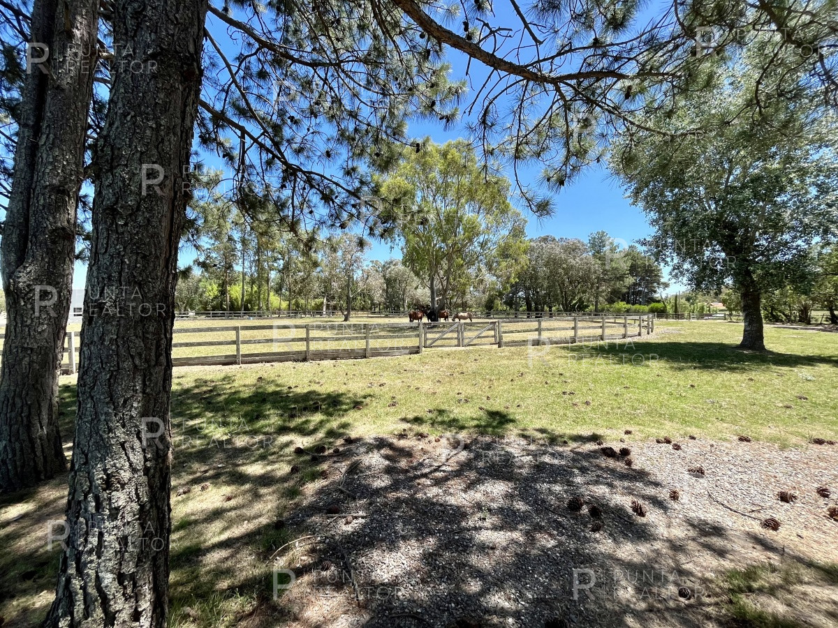 Chacra ID.1386 - Chacra  Casa alquiler, 12 dormitorios, cancha de Tenis, José Ignacio, Alquiler