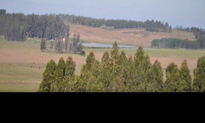 Hermosa chacra en venta