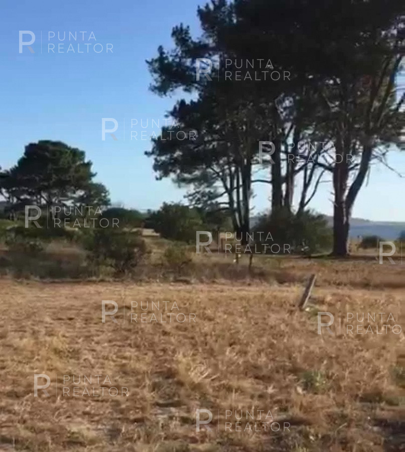 Terreno ID.1622 - Lote en El Caracol, Laguna Garzón, Rocha, Uruguay