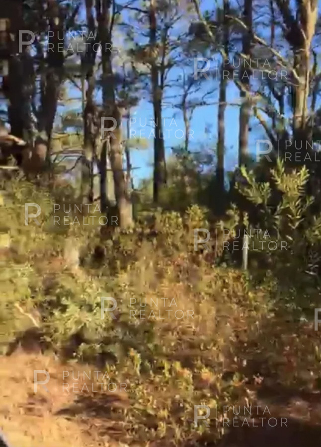 Terreno ID.1622 - Lote en El Caracol, Laguna Garzón, Rocha, Uruguay