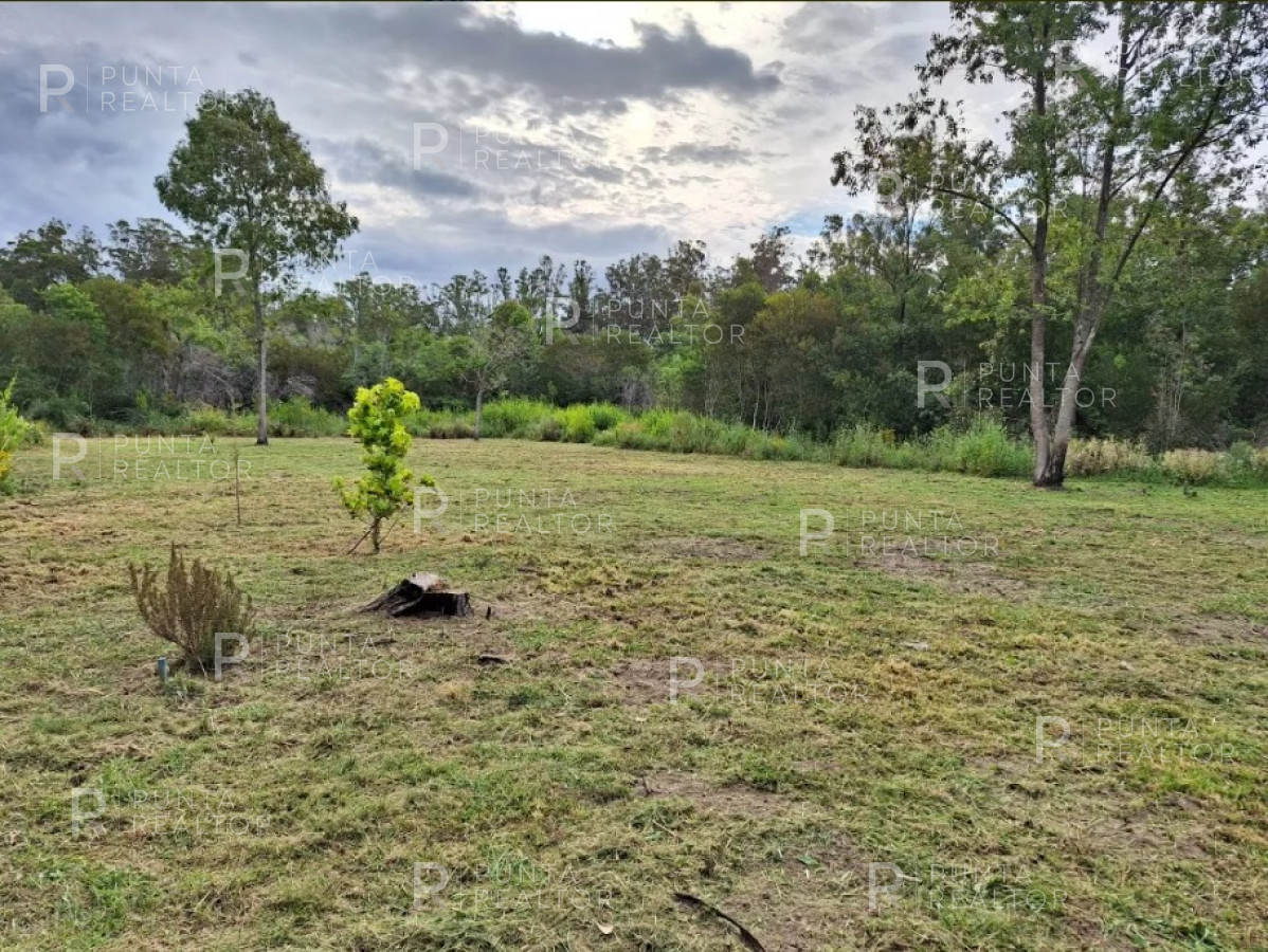 Terreno ID.2057 - Venta de Terreno en Sauce de Portezuelo, Maldonado, Uruguay