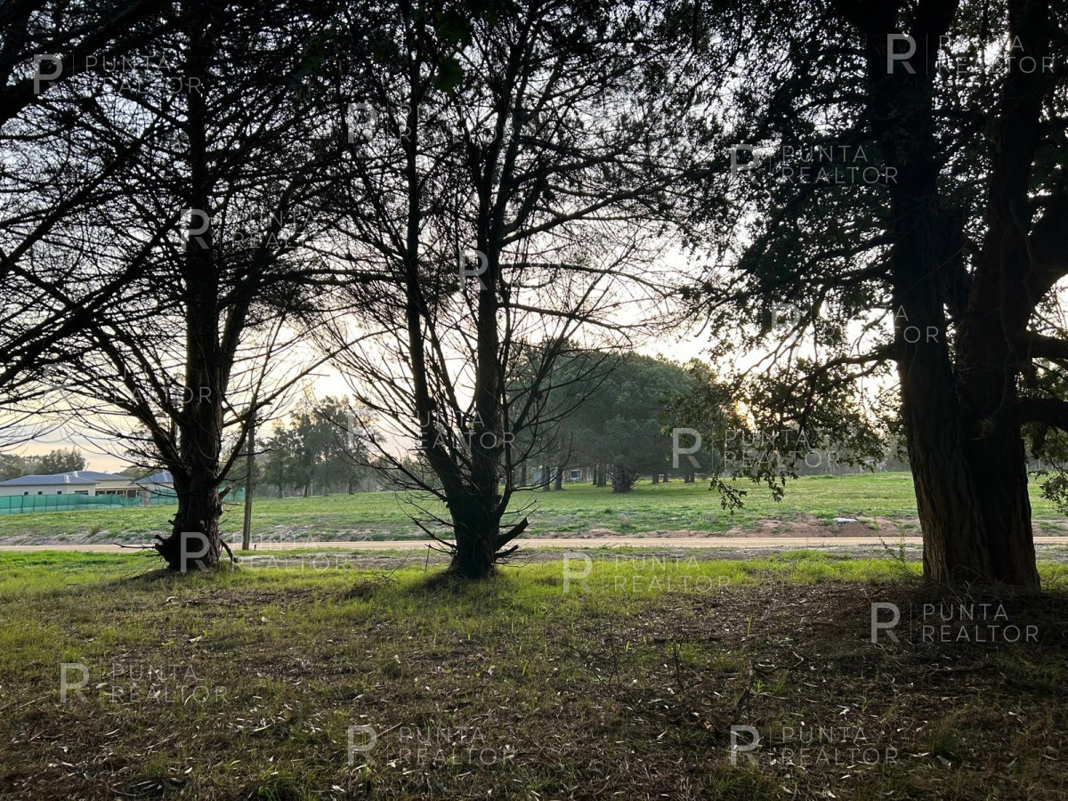 Terreno ID.2535 - Lote Terreno Venta Barrio Don Miguel, El Tesoro, La Barra, Uruguay