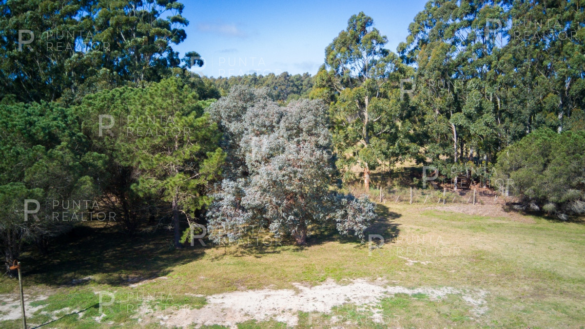 Terreno ID.2535 - Lote Terreno Venta Barrio Don Miguel, El Tesoro, La Barra, Uruguay