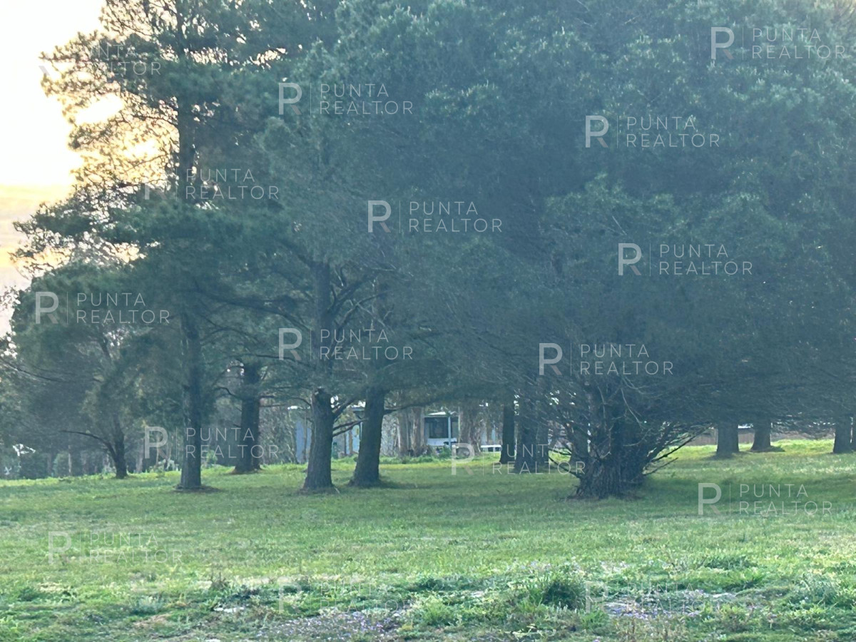 Terreno ID.2535 - Lote Terreno Venta Barrio Don Miguel, El Tesoro, La Barra, Uruguay