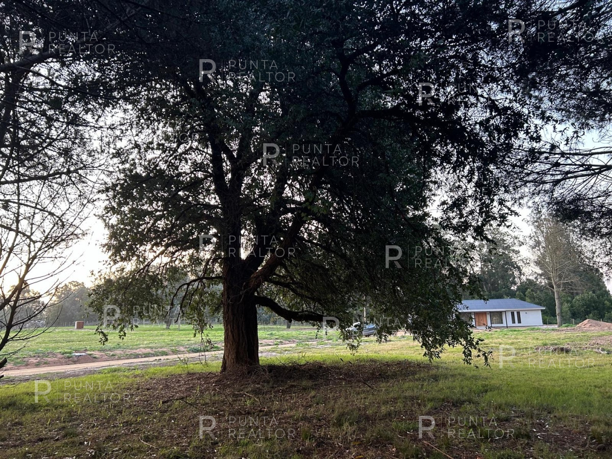 Terreno ID.2535 - Lote Terreno Venta Barrio Don Miguel, El Tesoro, La Barra, Uruguay