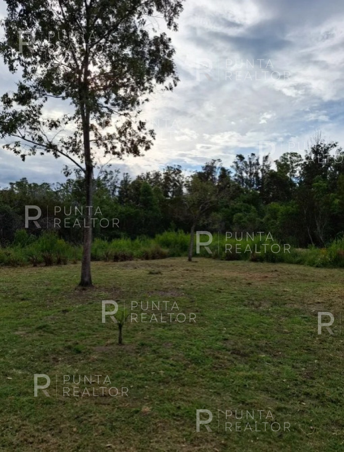 Terreno ID.2057 - Venta de Terreno en Sauce de Portezuelo, Maldonado, Uruguay