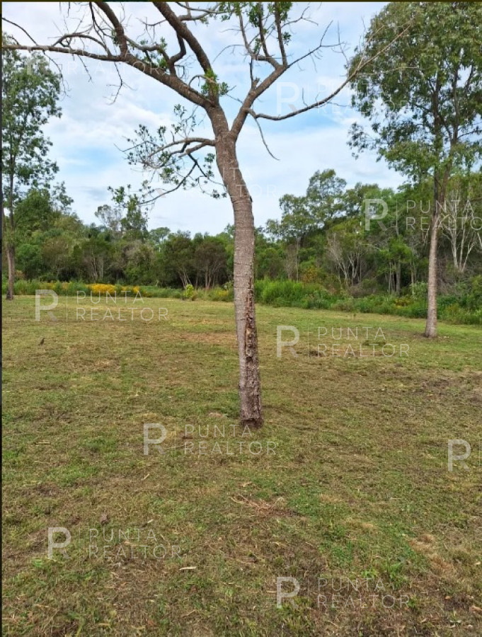 Terreno ID.2057 - Venta de Terreno en Sauce de Portezuelo, Maldonado, Uruguay