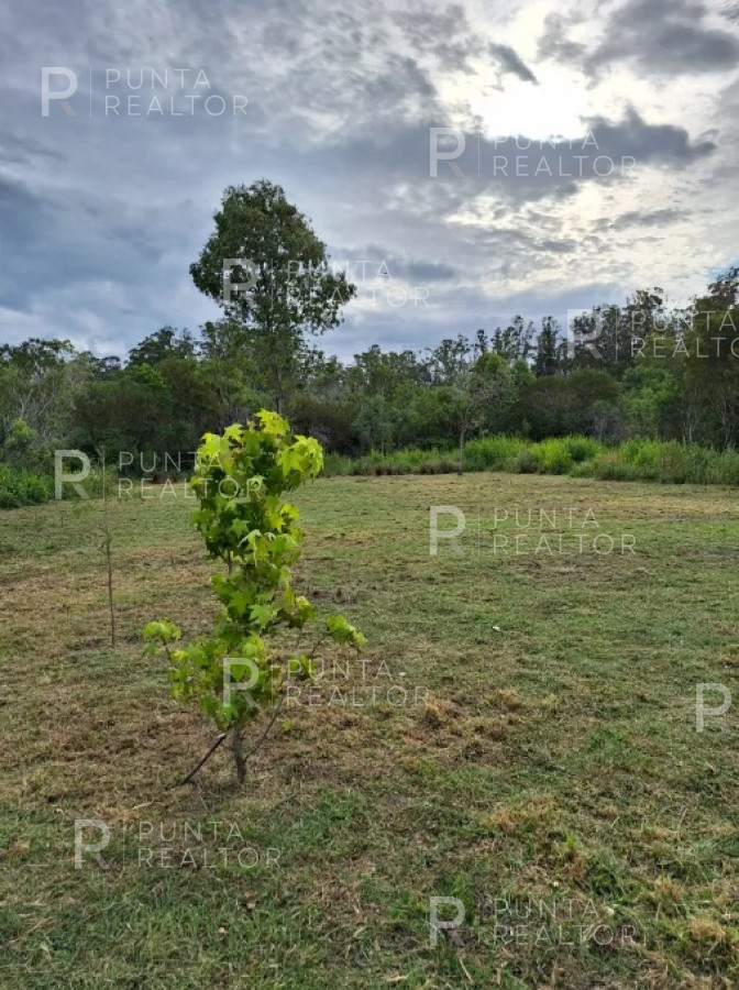 Terreno ID.2057 - Venta de Terreno en Sauce de Portezuelo, Maldonado, Uruguay