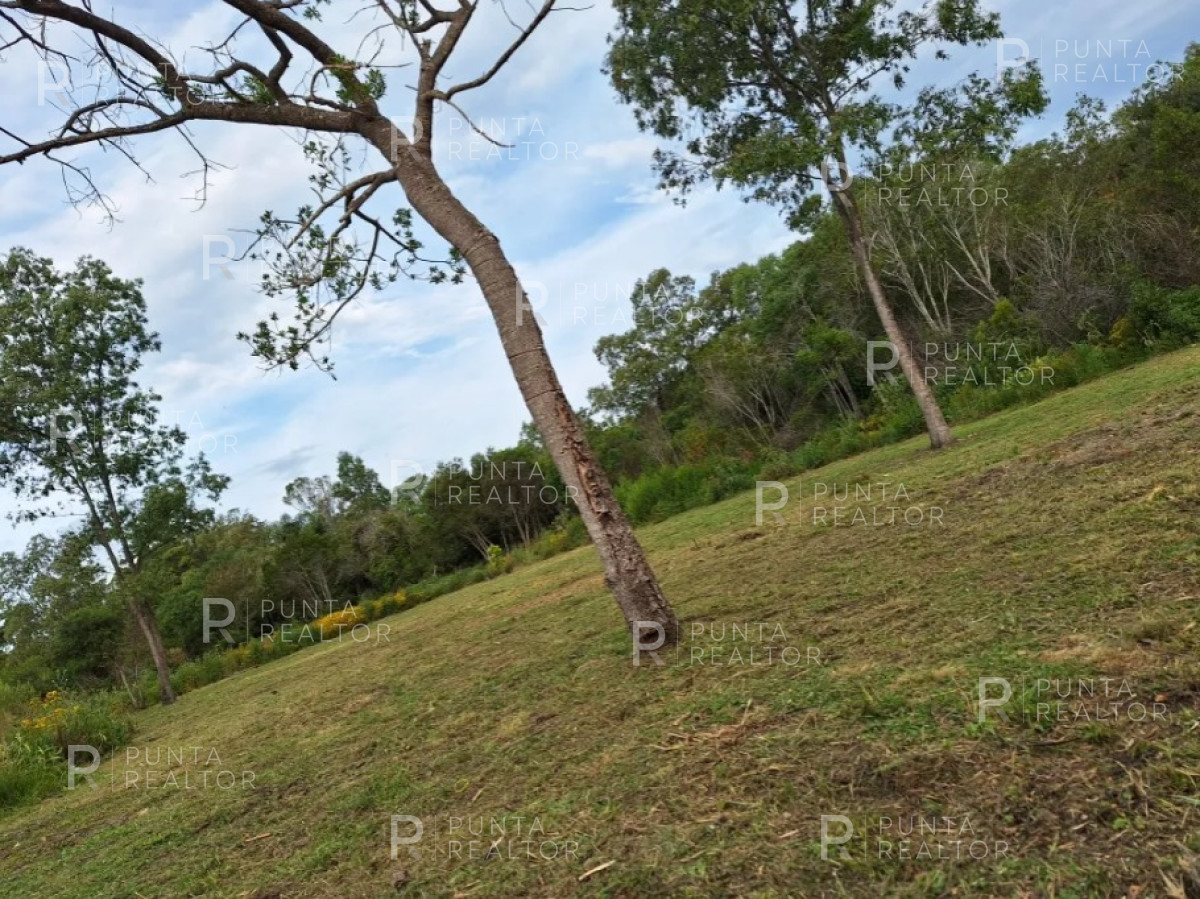 Terreno ID.2057 - Venta de Terreno en Sauce de Portezuelo, Maldonado, Uruguay
