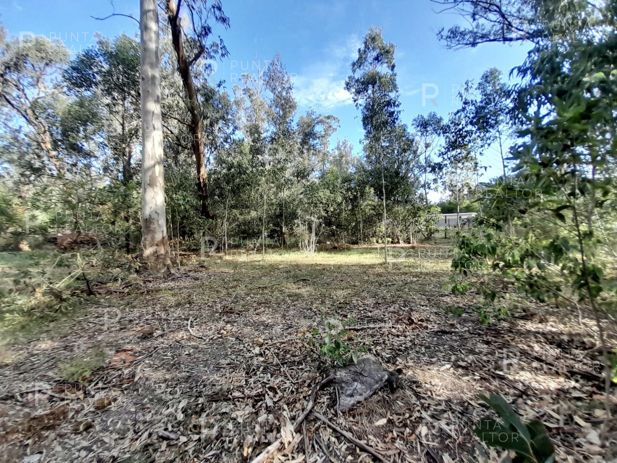 Terreno ID.1538 - Terreno en Venta en Edén Rock, José Ignacio, Uruguay