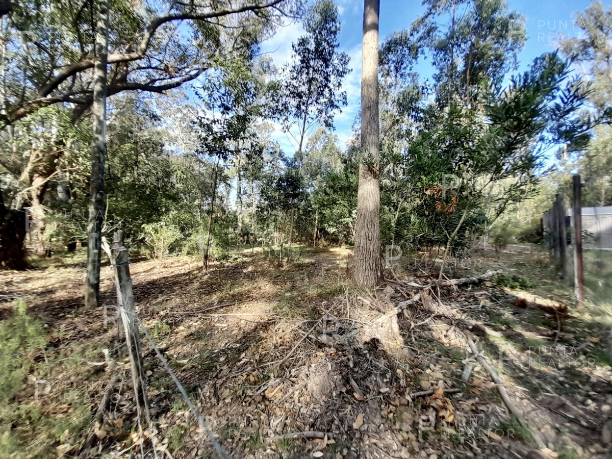 Terreno ID.1538 - Terreno en Venta en Edén Rock, José Ignacio, Uruguay