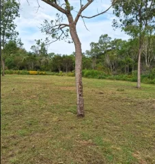 Venta de Terreno en Sauce de Portezuelo, Maldonado, Uruguay