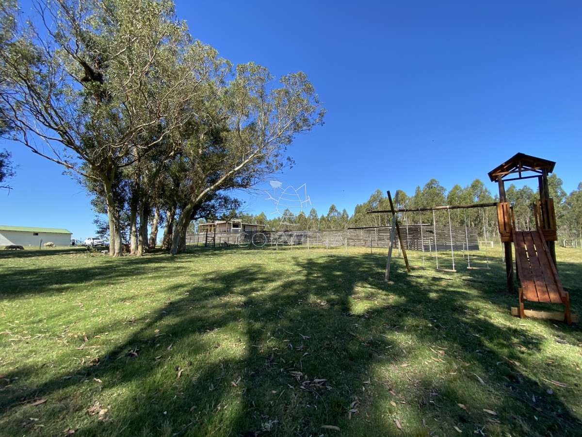 Ruta 9 - GoPunta - Portal Inmobiliario de Punta del Este - Maldonado