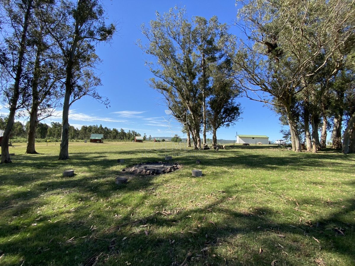 Ruta 9 - GoPunta - Portal Inmobiliario de Punta del Este - Maldonado
