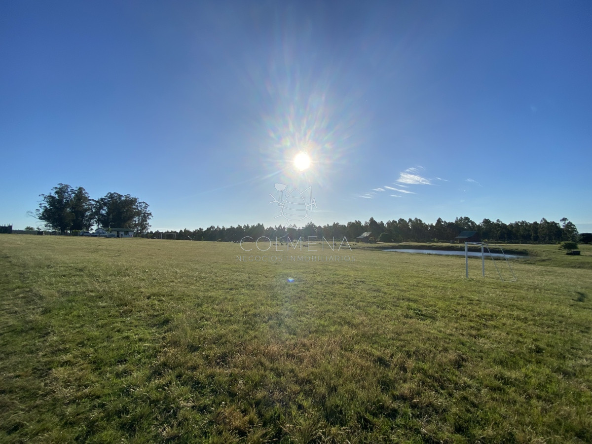 Ruta 9 - GoPunta - Portal Inmobiliario de Punta del Este - Maldonado