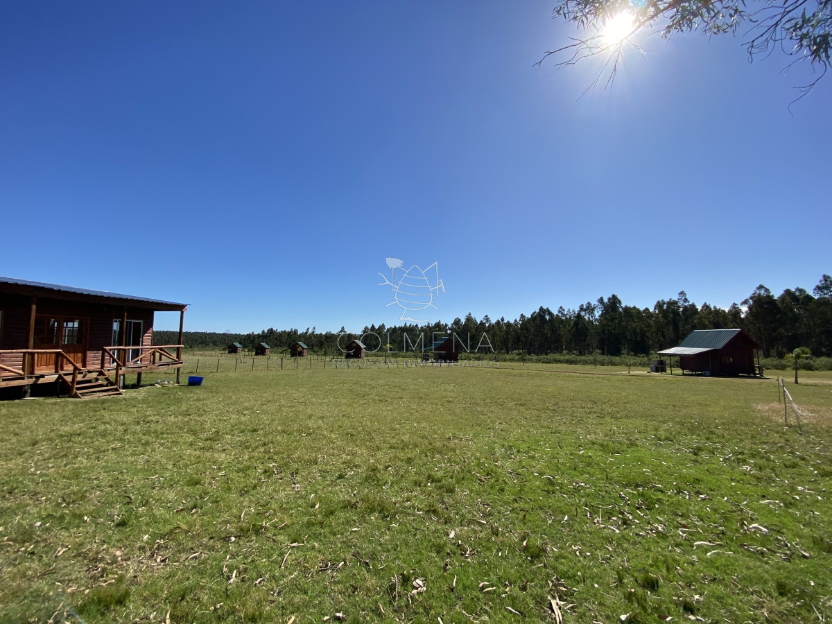 Ruta 9 - GoPunta - Portal Inmobiliario de Punta del Este - Maldonado