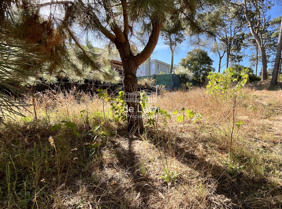 Terreno ID.15176 - venta terreno 600m pocas cuadras del mar montoya punta del este