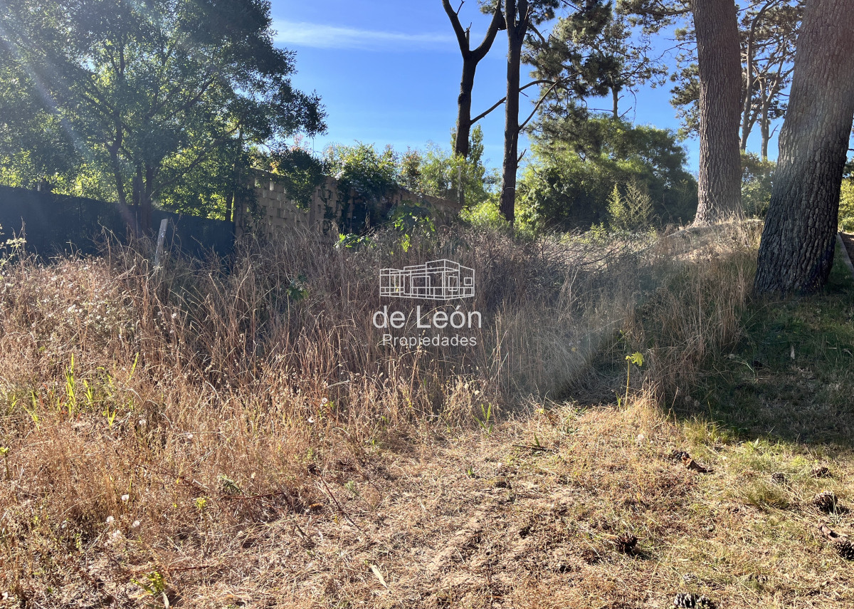 Terreno ID.15176 - venta terreno 600m pocas cuadras del mar montoya punta del este