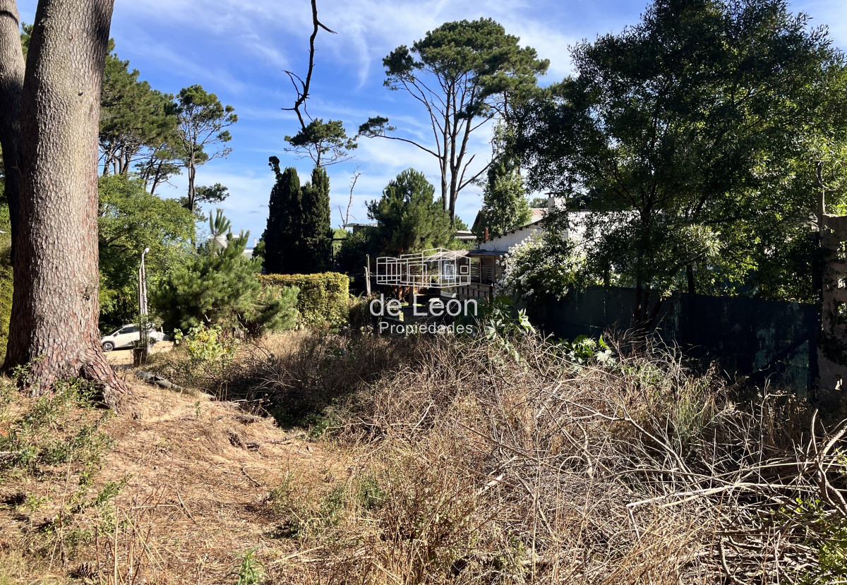 Terreno ID.15176 - venta terreno 600m pocas cuadras del mar montoya punta del este