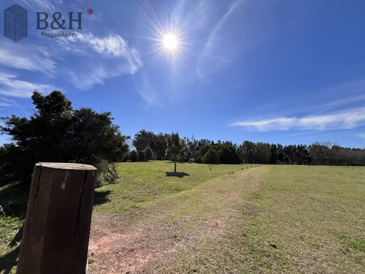 Maldonado - GoPunta - Portal Inmobiliario de Punta del Este - Maldonado