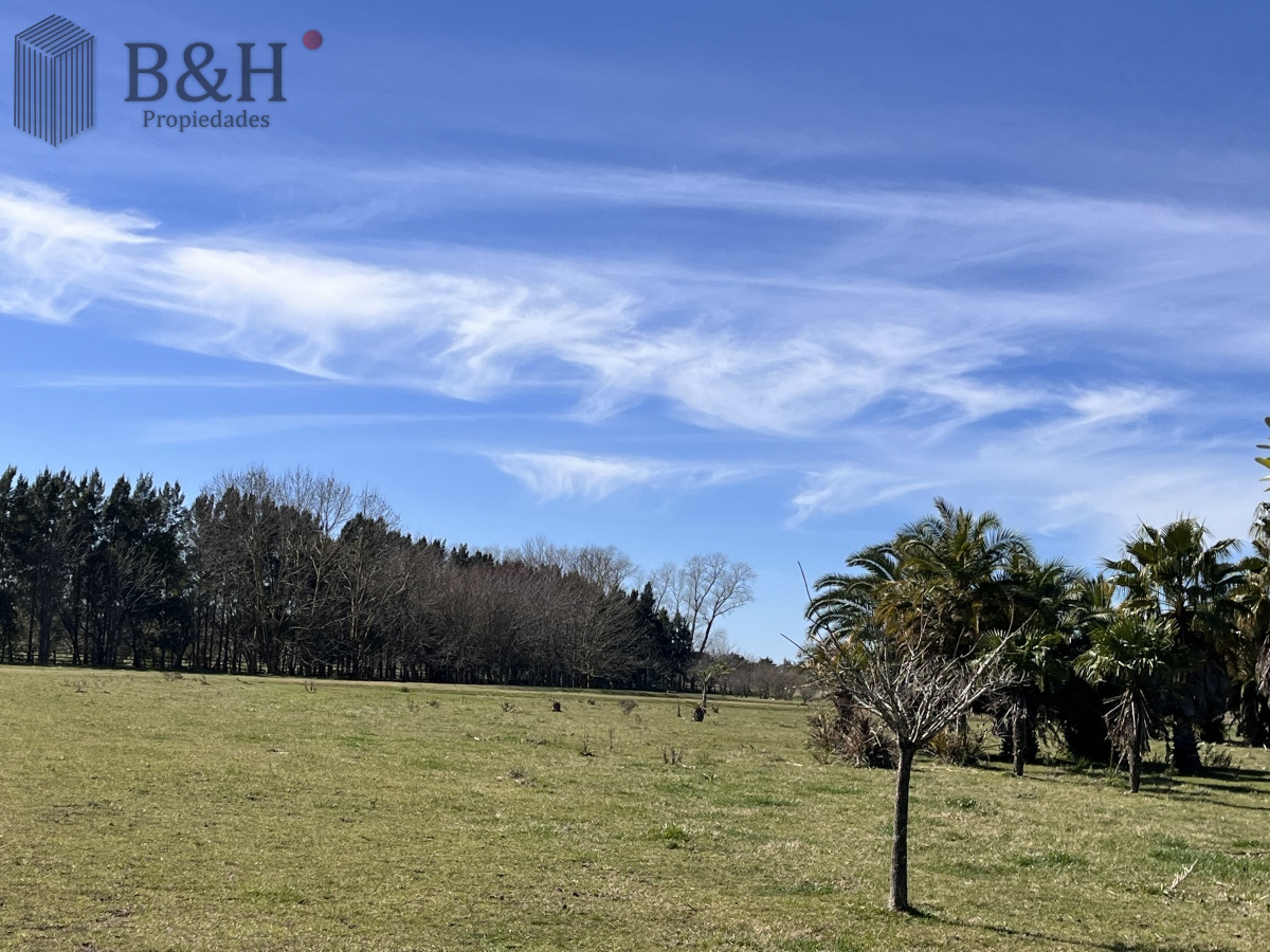 Chacra ID.3292 - Venta chacra 5Ha Zona La Pataia Punta del Este