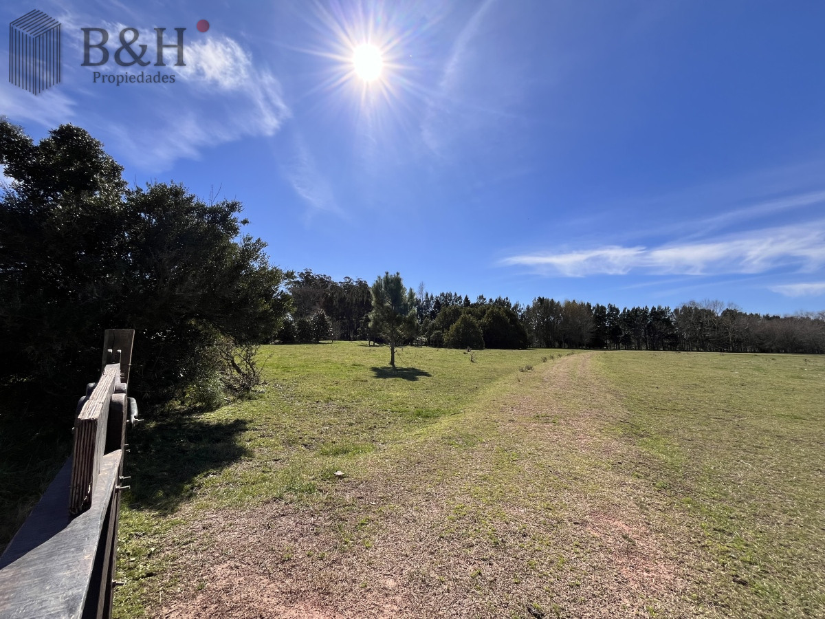 Maldonado - GoPunta - Portal Inmobiliario de Punta del Este - Maldonado